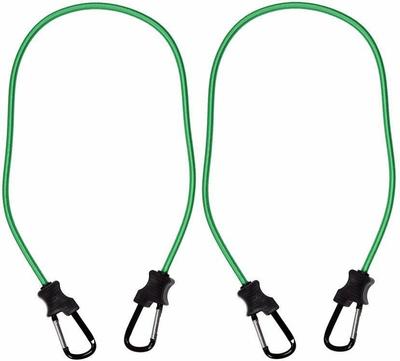 Engine – Drive Belts & Timing Belts