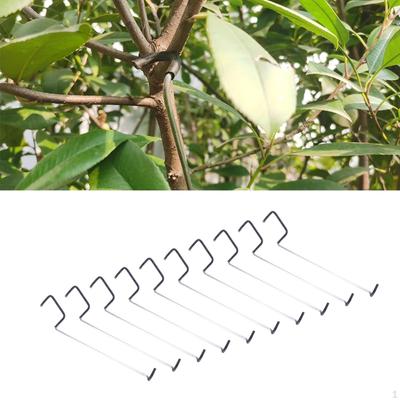 10 Stück Astspreizer für Obstbäume, Gartenformwerkzeug, wiederverwendbar für Bäume