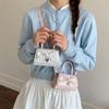 Exquisite Mini Polka Dot Bow Bag, New Fashionable and Versatile Crossbody/handbag for Women, Elegant Shoulder Bag.