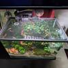 Rete Magnetica Anti-Salto per Acquario Fai da Te Facile Installazione Tagliabile Coperchio per Acquario di Dimensioni Personalizzate