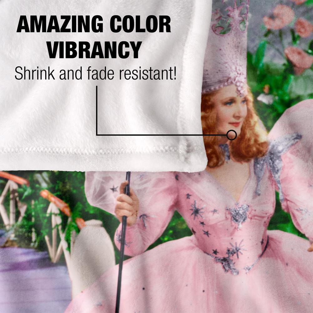 The Wizard Of Oz Scene Dorothy Blanket