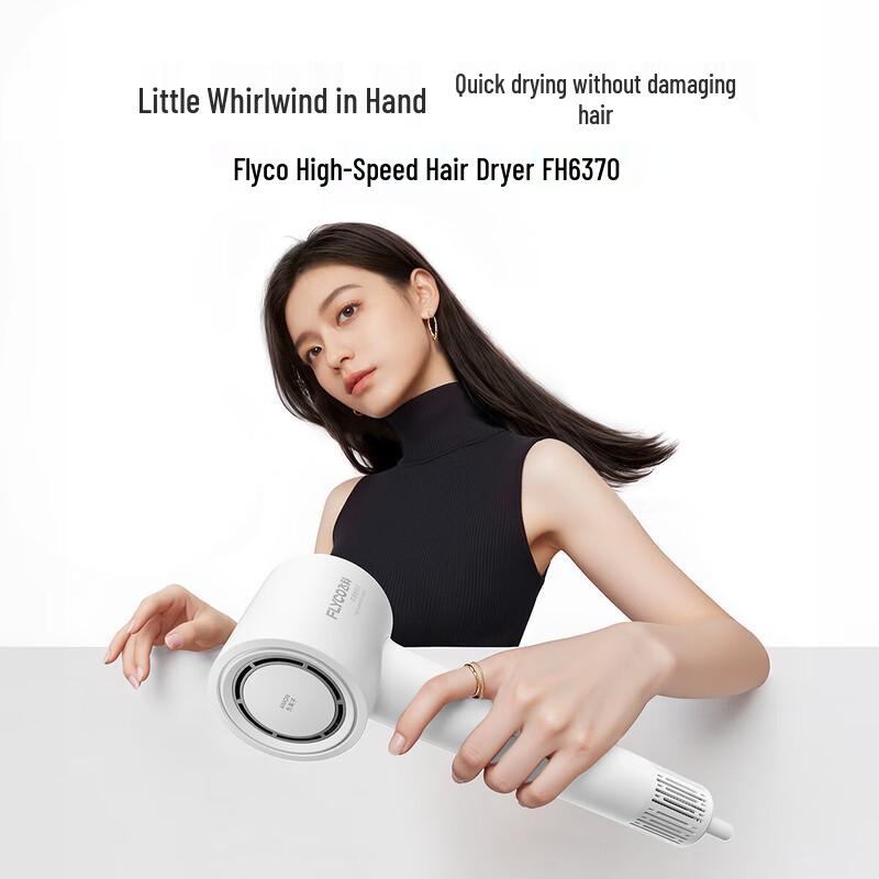 

Flyco FH6370 High-Speed Negative Ion Hair Dryer