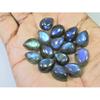 10X13MM Natural Labradorite Blue Fire Pear Cabochon Loose Gemstone 15Pcs Lot C-1116