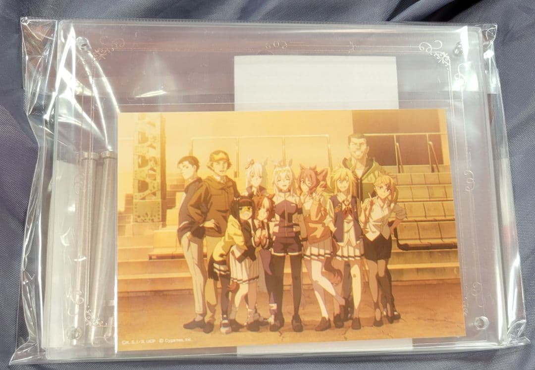 

[USED] Uma Musume Cinderella Gray Exhibition Acrylic Photo Frame Limited Edition Bonus Item