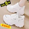 Inner height increase dad shoes women's 2025 spring and summer new versatile mesh white shoes soft sole fashion casual shoes women