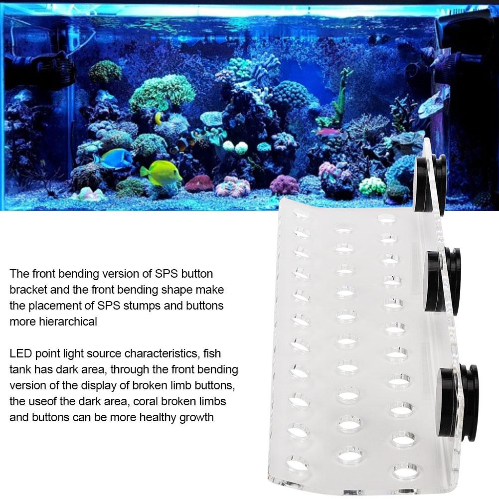 Aquarium Marine Coral Racks Bracket Holder Fish Button Frame Enhanced Suction Cup