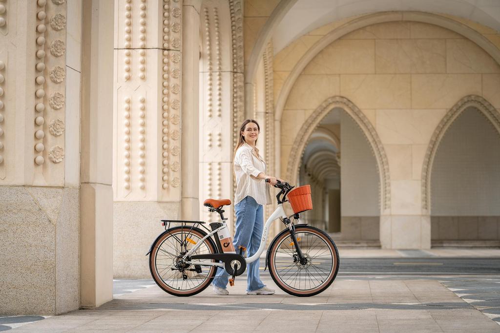 DYU C6 PRO Electric City Bike 36V 15.6Ah Battery, 250W Motor, Range 80 KM, Max Speed 25 km/h, 26*2.125 Inch Tires, E-Bike