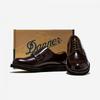 Danner Postman Shoes D214300