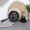 Cast Iron Pan for Gas Induction Grill Fireplace To Oven Plate 16 Cm
