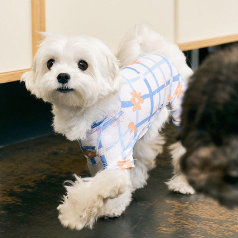 MUNIKUND Bug Guard All-In-One : Blue Flower