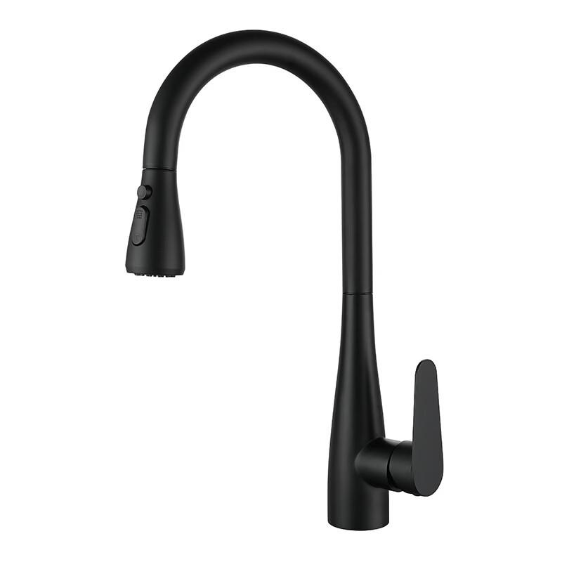 TLXT Kitchen Pull-out Faucet