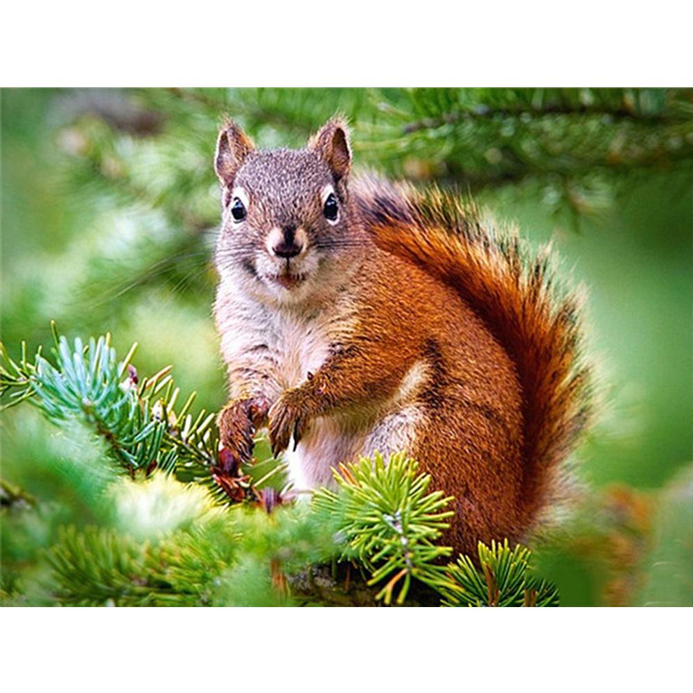 Diamond Painting Squirrel Rhinestone Kit Full Drill Square Diamond Embroidery Animal Mosaci Winter Needlework Wall Art