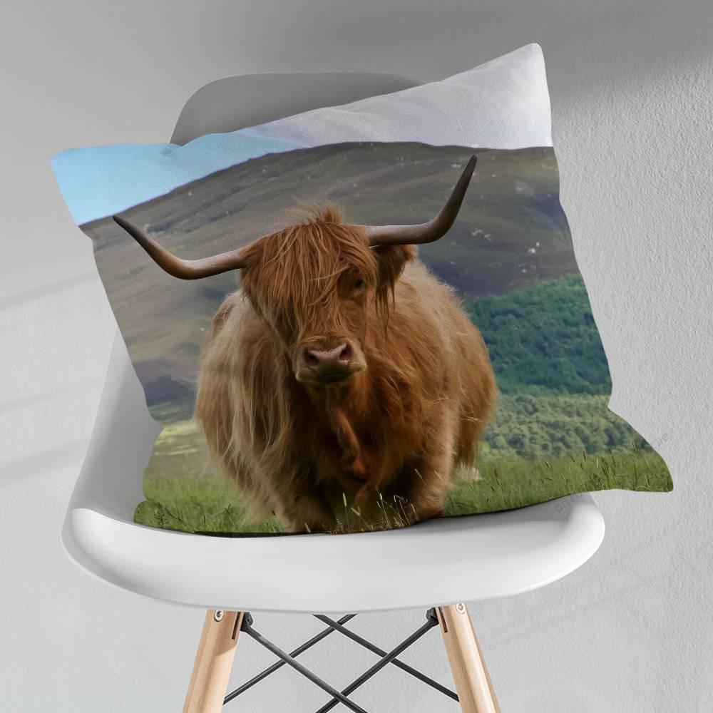 Cute Small Highland Cow Various Sizes Square Pillow Case For Car Home Bedchamber Decor Birthday Gift