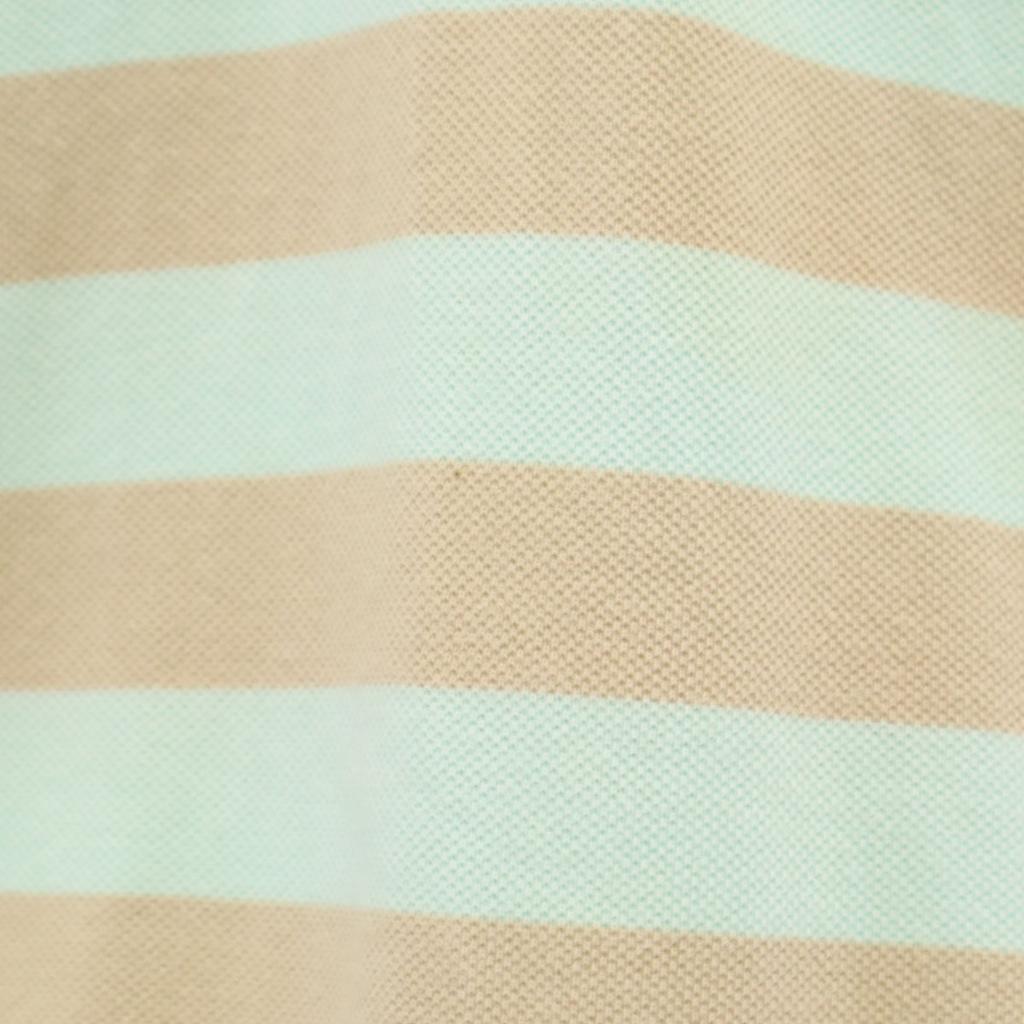 Chaps Border Pattern Short Sleeve Polo Shirt L Mint System Fawn Men's Used