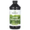 Swanson, Liquid Chlorophyll, 100 Mg, 16 Fl Oz (473 Ml)