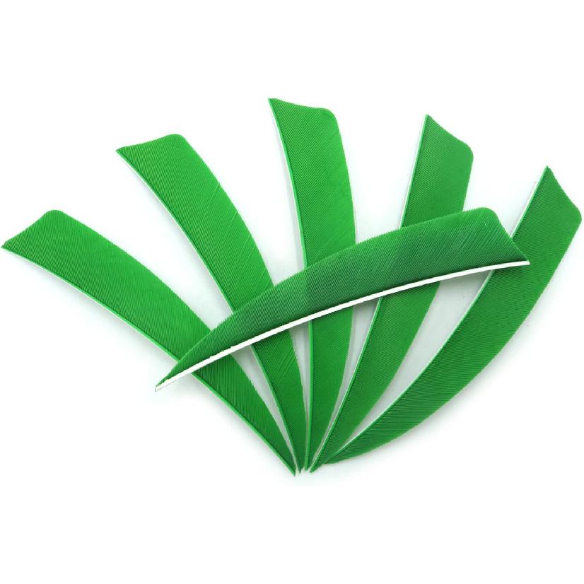 Archery Feathers 4inch (60Pack) Hunting Arrows Fletching Fletches Right Wing 4" Shield Cut Orange Green