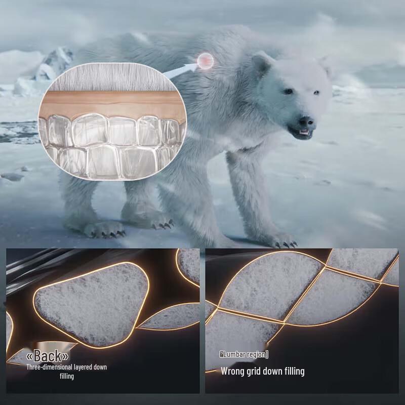 Bosideng B40142390 Premium Outdoor Goose Down Jacket