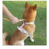 All-in-one Design Dog Leash Collar Set for Small Medium Dogs, Durable Braided Rope Slip Lead Pet Training Leash