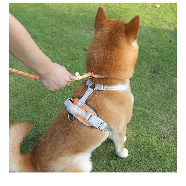 All-in-one Design Dog Leash Collar Set for Small Medium Dogs, Durable Braided Rope Slip Lead Pet Training Leash