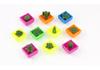 Water-Expanding Cactus Succulent Toys - Creative, Unique & Novel Gifts for Kids
