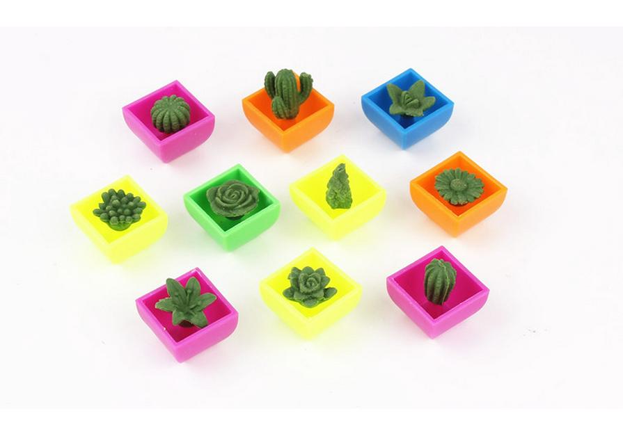 Water-Expanding Cactus Succulent Toys - Creative, Unique & Novel Gifts for Kids