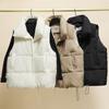 Street Autumn and Winter Fluffy Cotton Stand-up Collar New Zipper Cotton-padded Clothes Cotton Clothes Vest Jacket Vest Jacket