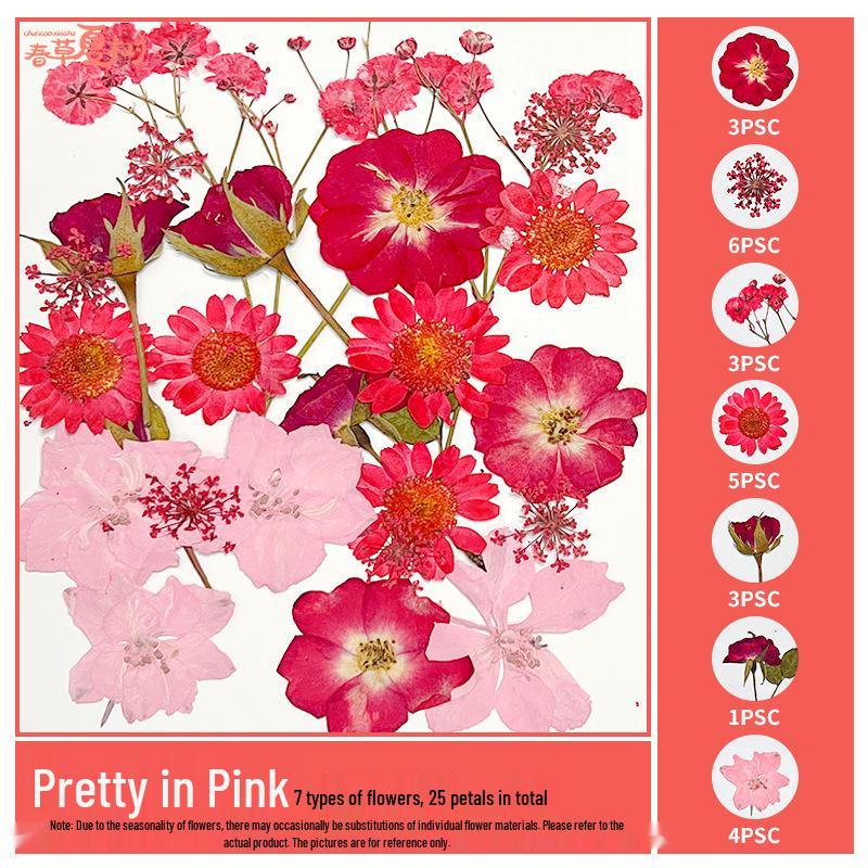 Handmade Pressed Flower Bookmark and Epoxy Sticker Pack with Real Leaf and Plant Specimens for DIY Face Makeup.
