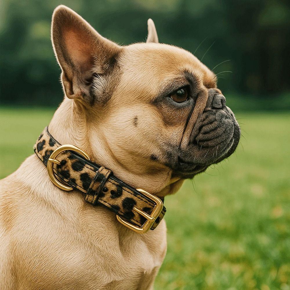 Leopard Print Adjustable Pet Collar PU Leather Pet Collar Leopard Dog Collar Small Medium Dogs