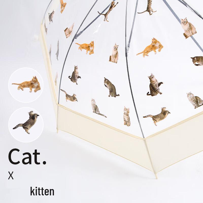 Tianwei Transparent Long-Handle Umbrella