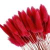 50pcs Dried Rabbit Tail Grass Flowers Artificial Plant Wedding Party