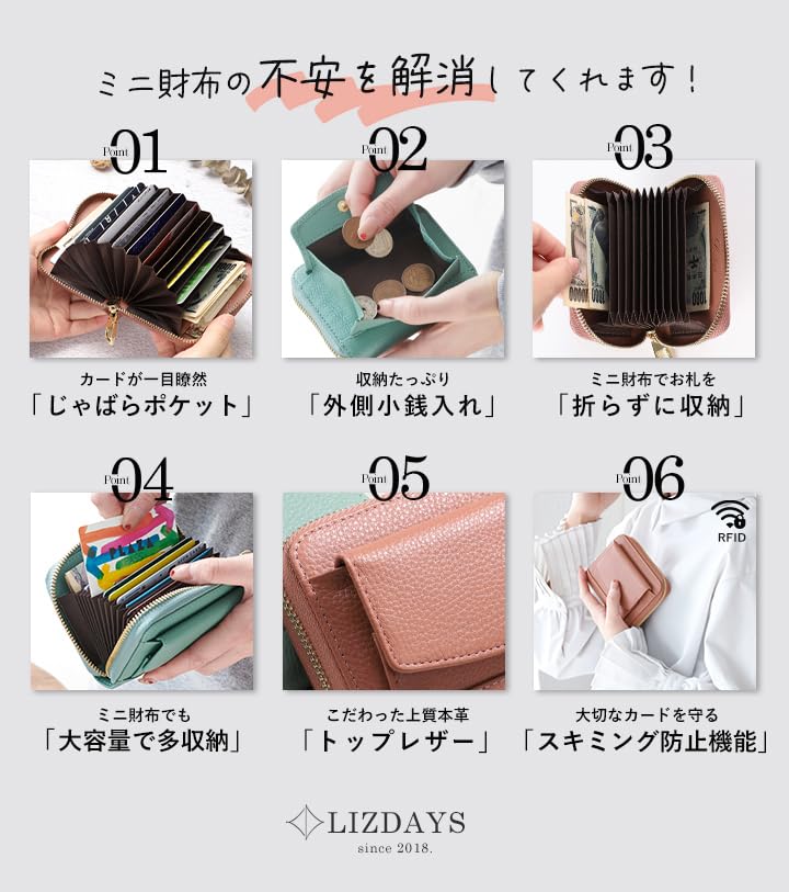 Lizdays Mini Wallet, Card Case, Bill-Resistant, Accordion-Style, Large Capacity, Coin Purse, Skimming Prevention (Black)