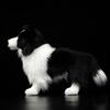 ZHONGXIN MADE Border Collie Realistic Stuffed Toy Stuffed Toy…