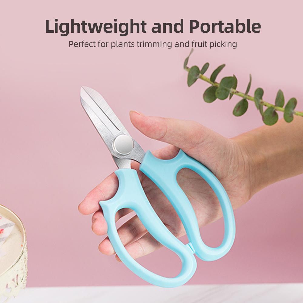 10 Piece Garden Flower Scissors, Sharp Stainless Steel Floral Shears, Trimming Plant Scissors All