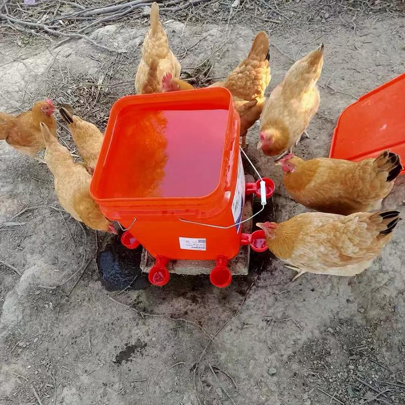 10 Pcs Automatic Poultry Drinker Bowl Chicken Bird Water Cups Duck Drinking Machine Hanging Drinking Bowls Water Dispenser
