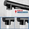 304 Stainless Steel Pull-out Faucet Wire Drawing Process Hot and Cold Water Tank Vegetable Washing Basin Telescopic Faucet
