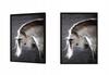 Picture, poster Framed 73x53 cm Horse P506