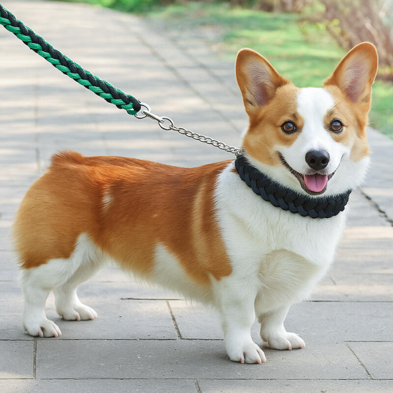 

Rope Large Dog Leash + Lead (1.3m) Dog Walking Leash