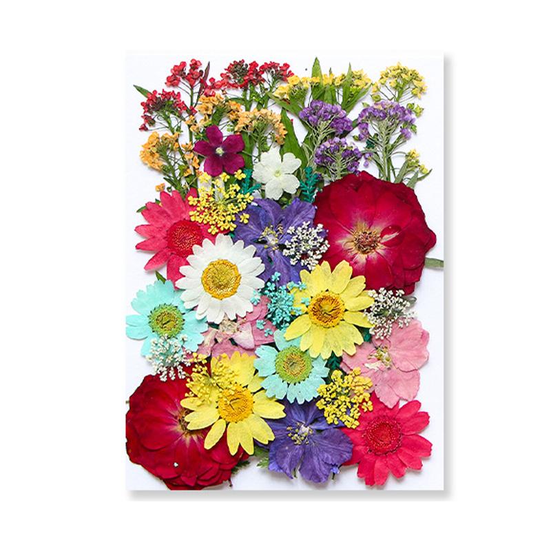 Dried Flowers Real Natural Plant Pressed Flower For Epoxy Resin Filling DIY Keychain Pendant Silicone Mold Jewelry Making Crafts