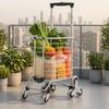 Cart Lightweight Foldable Shopping for Market Runs, Parcel Transport