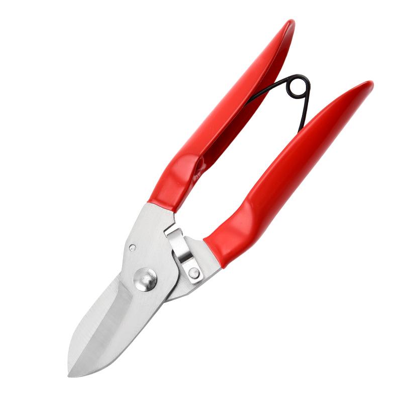 Stainless Steel Pruning Shears with Rubber Handle for Branches and Fruit Picking