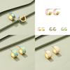 Fashion-forward Geometric Alloy Earrings Popular Street Style Jewelry