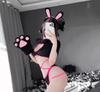 Cat Cosplay Sexy Erotic Bunny Girl Cute Extreme Popular Babydoll Bunny Costume Leotard Reverse Bunny High Leg Bodysuit Anime Lolita Underwear Costume