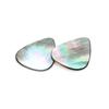 Guitar Pick Bass Picks Electric Guitar Parts Guitar Pick Thumb Picks Shell Guitar Picks Acoustic Guitar Picks Plectrums