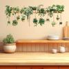 3D Green Plants Wall Stickers Potted Hanging Baskets Vinyl Mural Art Decals for Kitchen Study Living Room Decoration