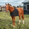 Breathable Horse Shoulder Guard Stretch Vest Heat-Insulating Anti-Rub Bib Chest Saver for Horseback Riding Heart Protection
