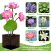 with Handles Aquatic Plant Baskets PVC Mesh Planting Grow Bag Lotus Planter  Pond Landscaping
