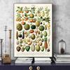 Botanische Blume Pilz Obst Leinwand Gemälde Wildpflanze Pilz Poster und Druck Wandkunst für Wohnzimmer Wand Dekor Cuadros