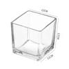 Planter Transprent Square Glass Vase Geometric Hydroponic Flower Pot Cube Vase Desktop Decor
