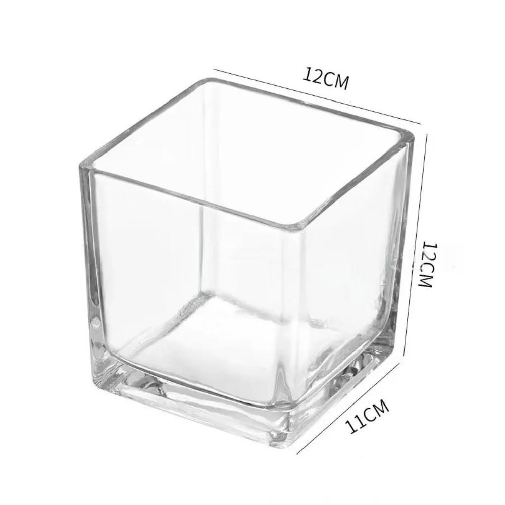Planter Transprent Square Glass Vase Geometric Hydroponic Flower Pot Cube Vase Desktop Decor