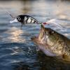 Crankbait Fishing Floating with Rattle, Small Hard for Fishing